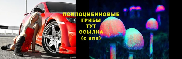 спайс Нея