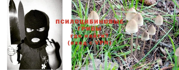 МДПВ Анива