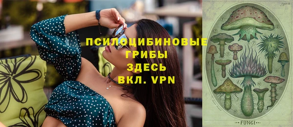МДПВ Анива