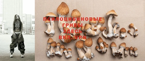 гашик Апатиты